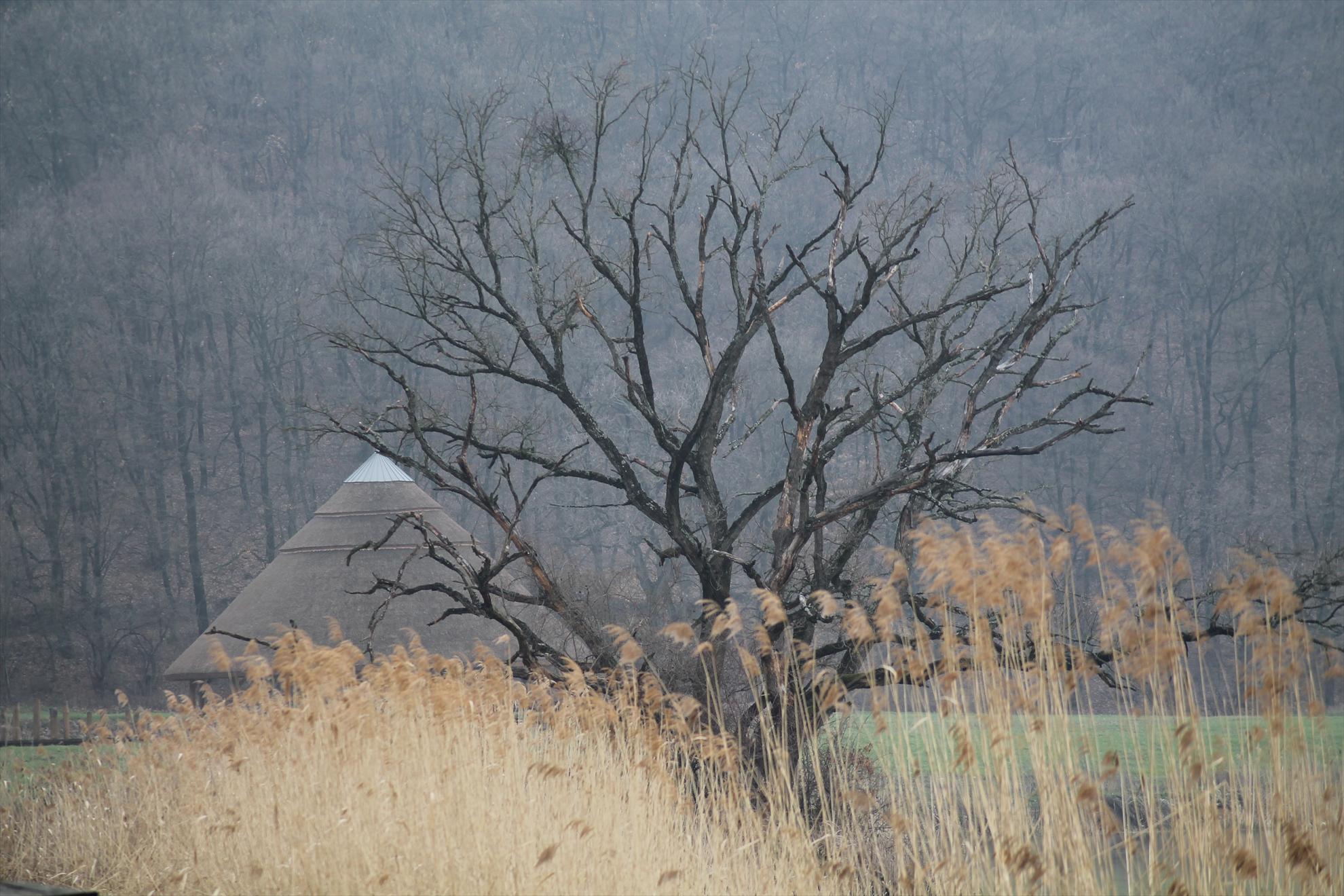 Peisaje... - harsany-aprilie2013-1991.JPG